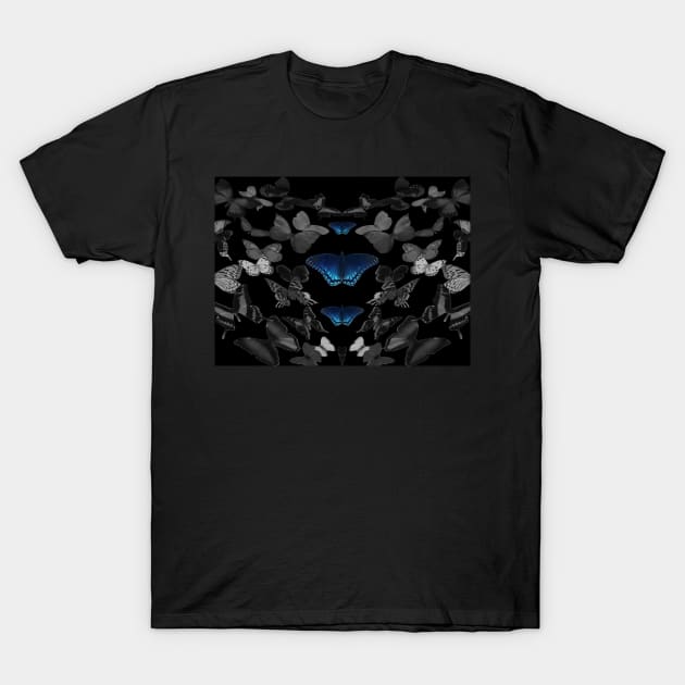 Black and White Flying Butterflies All Around Blue Butterflies T-Shirt by Moonlit Midnight Arts